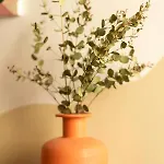 Roma Reva: Design Et Cinema 님
