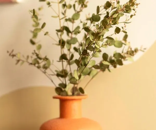 Roma Reva: Design Et Cinema Nimes