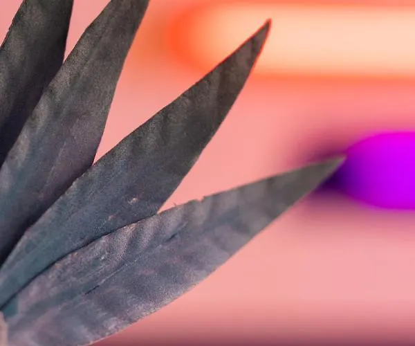 Roma Reva: Design Et Cinema Nimes